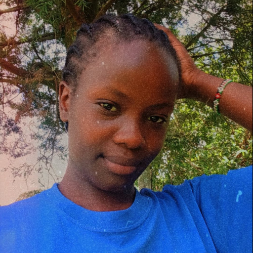 Phoebe  C. profile photo