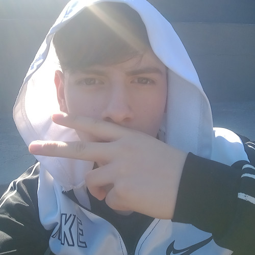 Dylan T. profile photo