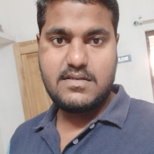 Kottapalli  L. profile photo