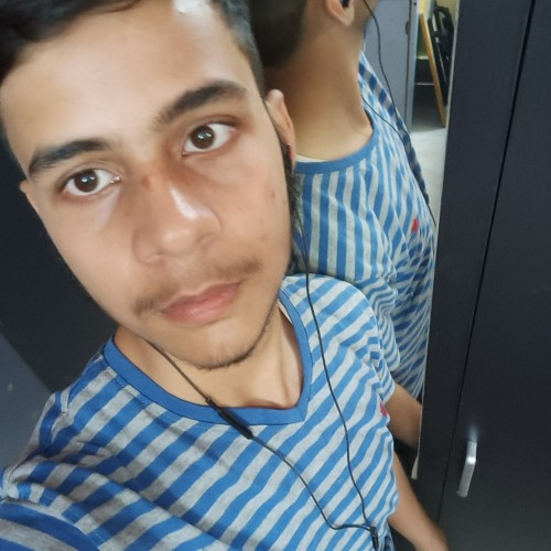 Abhigyan S.