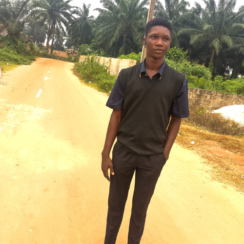 Ajibola  I. profile photo