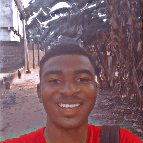 Daiv  M. profile photo