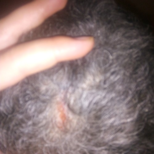 Rachid L. profile photo