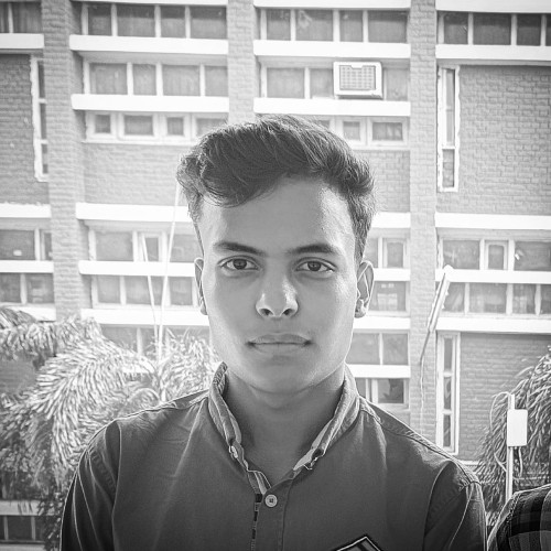 Aryan H.