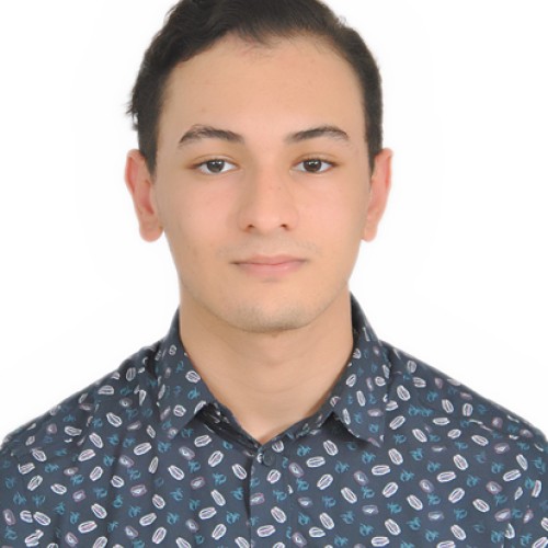 Amine M. profile photo