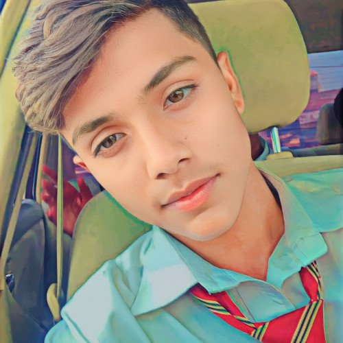 syed n. profile photo