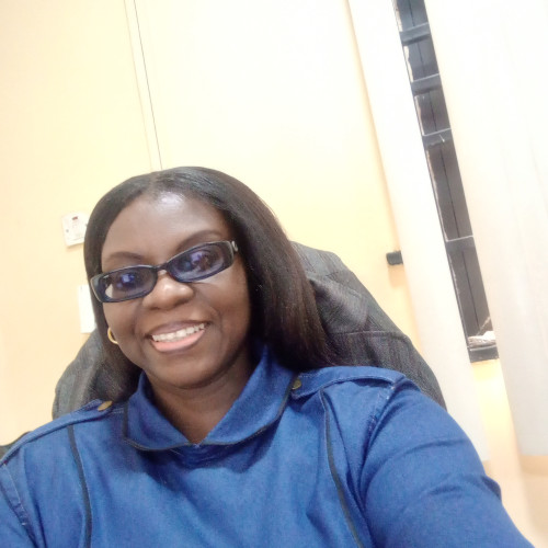 Adeshola  S. profile photo