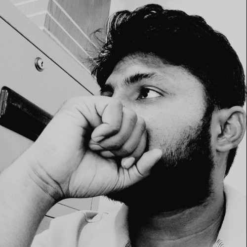 Towfiqur R. profile photo