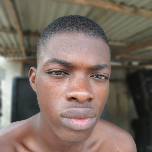 Alo A. profile photo