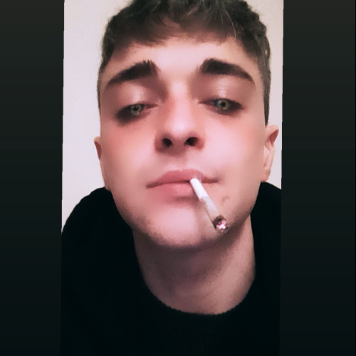 Stefano  D. profile photo