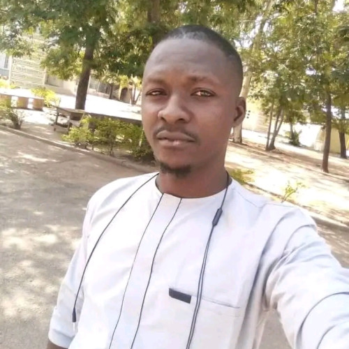 Oluwashina A. profile photo