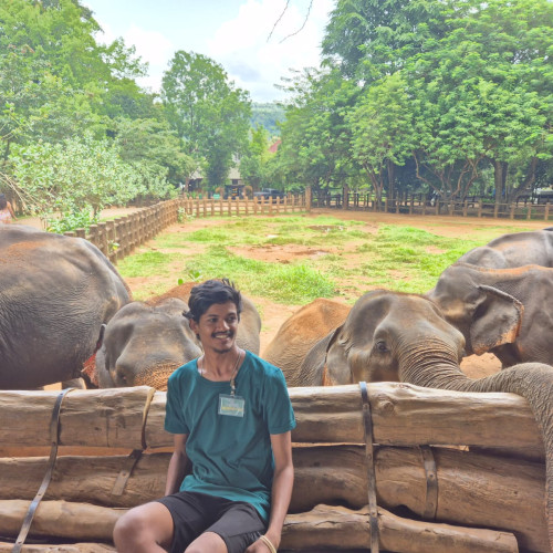 sithara n. profile photo