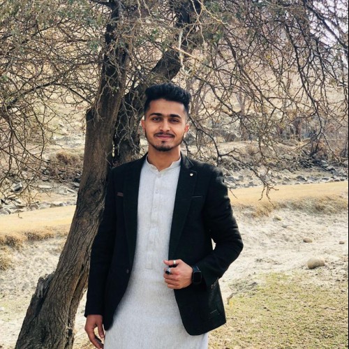 Hekmatullah S.