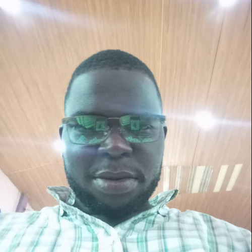 Opeyemi S. profile photo