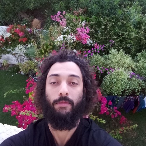 Mehdi S. profile photo