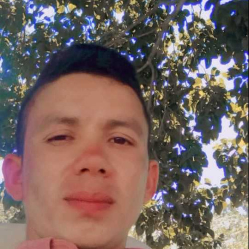 Albert n. profile photo