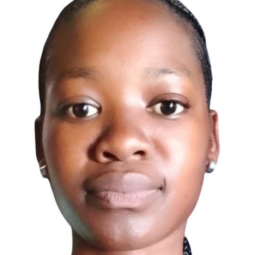 Sesy S. profile photo