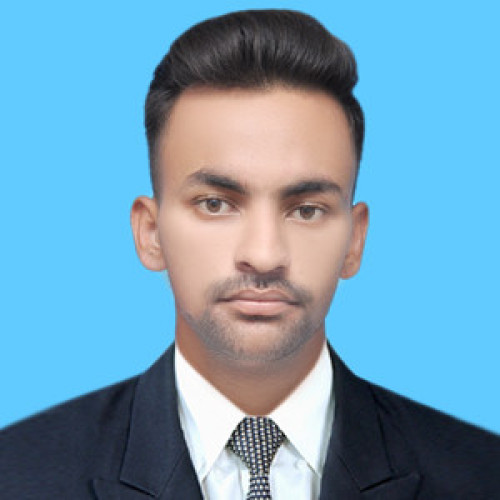Moiz F.