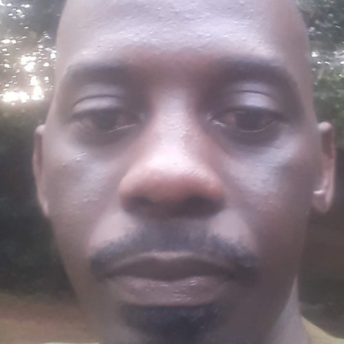 David M. profile photo