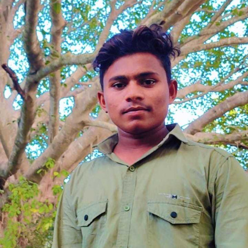nani n. profile photo