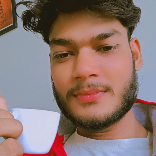 Ankit V. profile photo