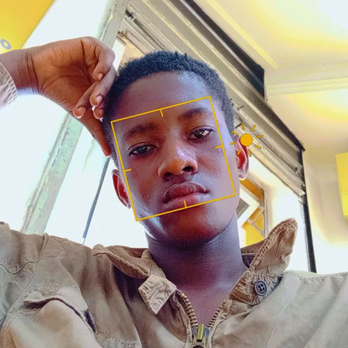 Kelvin K. profile photo