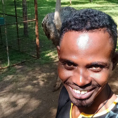 Misheck P. profile photo