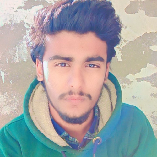 Arsh  B. profile photo