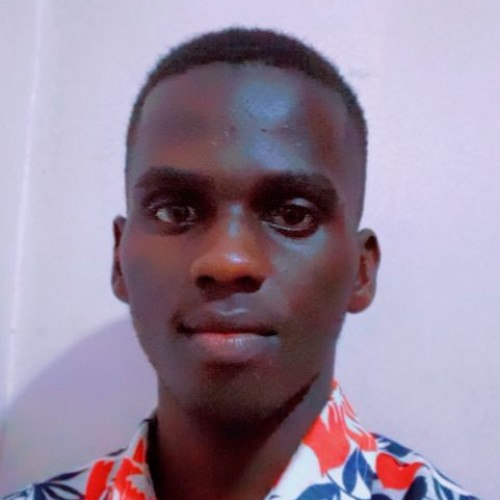 ssekitto z. profile photo