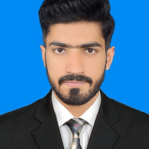 Ali H.