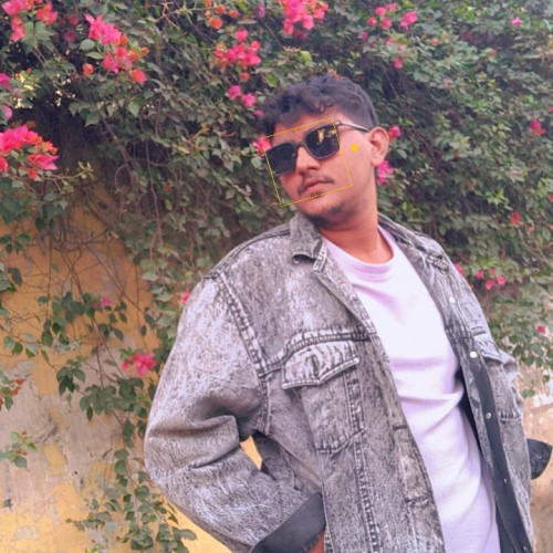 Faizan  S.