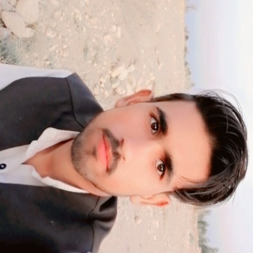 Nouman S.