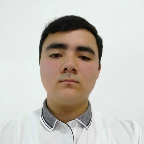 Mirzabek K.