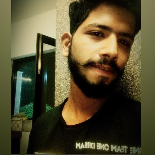 Akshat G. profile photo