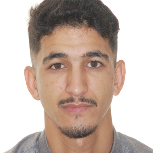 El hamdani M. profile photo
