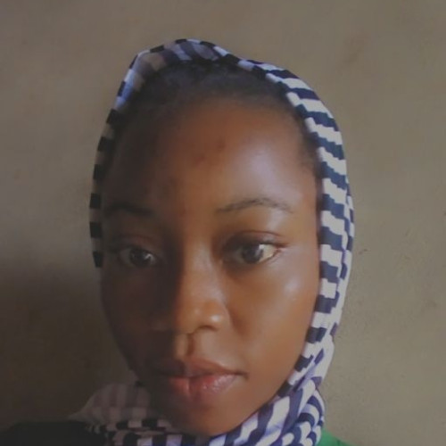 Ogundiran A. profile photo