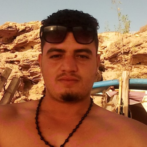 Mehdi M.
