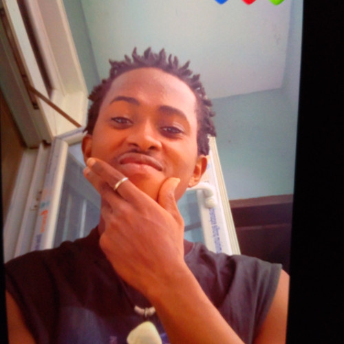 Sadiku  N. profile photo