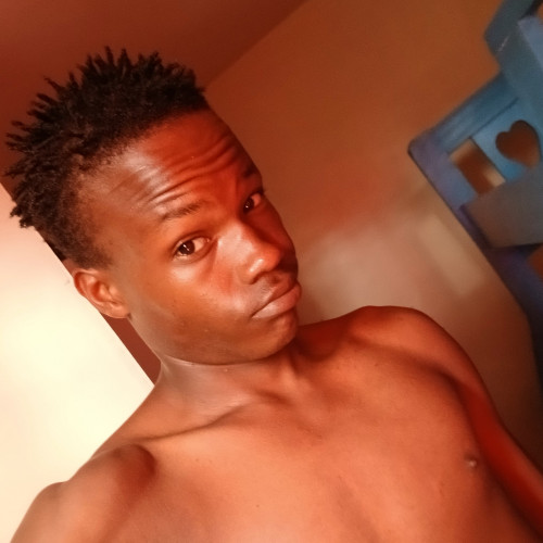 Ali A. profile photo