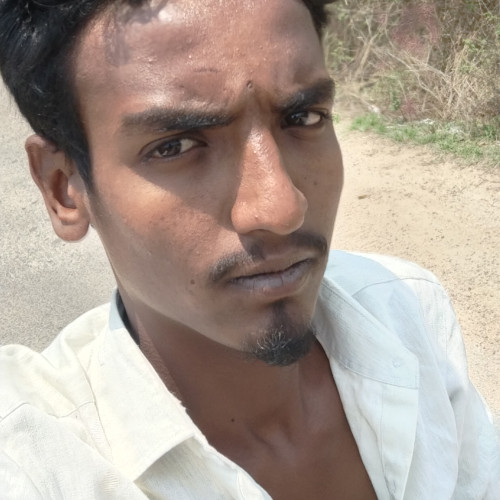 Surya  S. profile photo