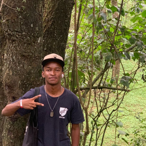 David M. profile photo