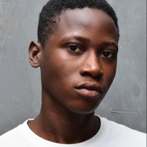 Olabosipo D. profile photo