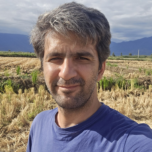 Mohsen C. profile photo