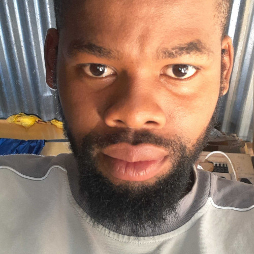 dees M. profile photo