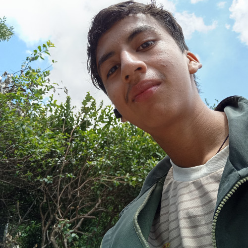 Fernando  L. profile photo