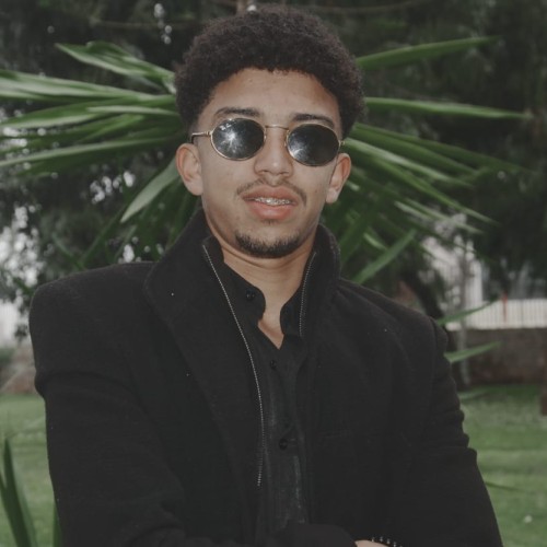 Walid  S. profile photo