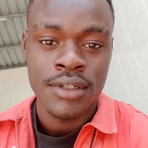 Howard  T. profile photo