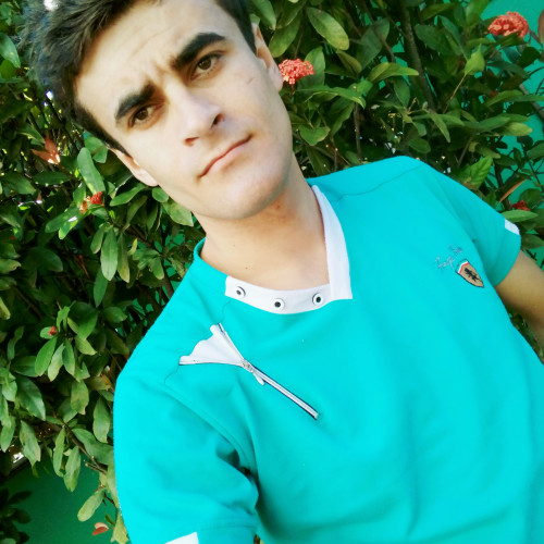 Pedro L.