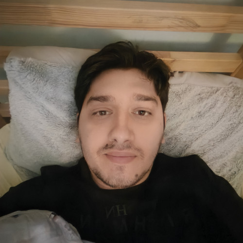 Alexandru N. profile photo