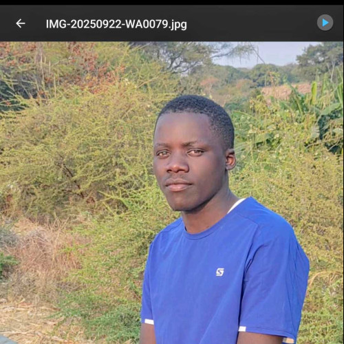 Damiano P. profile photo